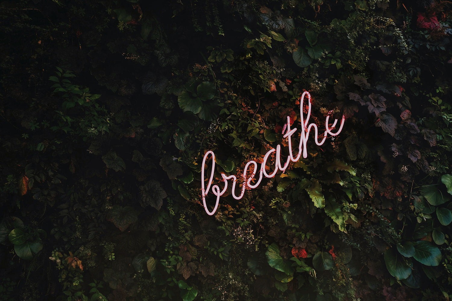 hdr-breathe